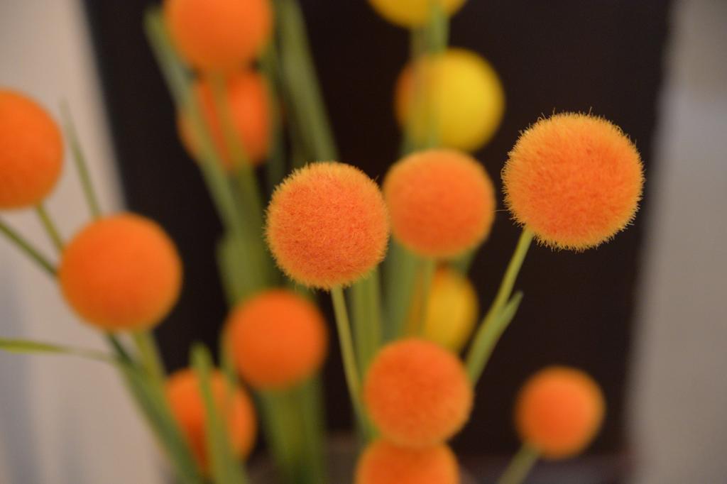 فيرونا 2*